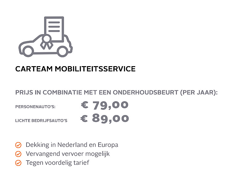 Carteam Autoservice de Peel